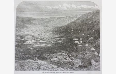 Orig. Holzstich: The Tuapeka Goldfields, Otago, New Zealand.   - W. Thomas,