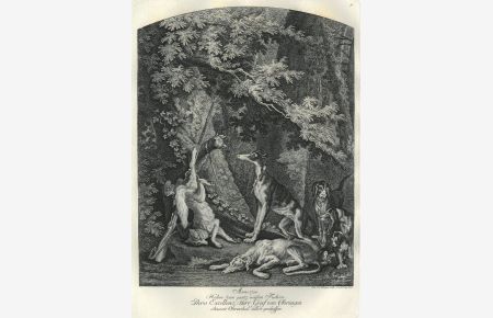 Anno 1720 Haben disen gantz weissen Fuchsen, Ihro Excellenz Herr Graf von Ohringen ohnweit Ohrenthal selbst geschossen. Der weiße Fuchs an einem Hinterlauf aufgehängt, daneben ein angebundener Windhund, davor schlafen noch drei weitere Jagdhunde.