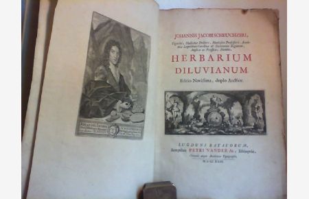 Herbarium Diluvianum.