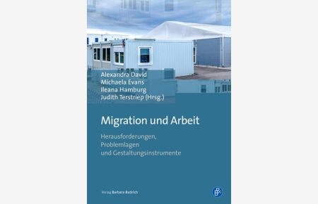 Migration und Arbeit  - Herausforderungen, Problemlagen und Gestaltungsinstrumente