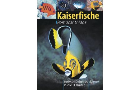 Kaiserfische: Pomacanthidae
