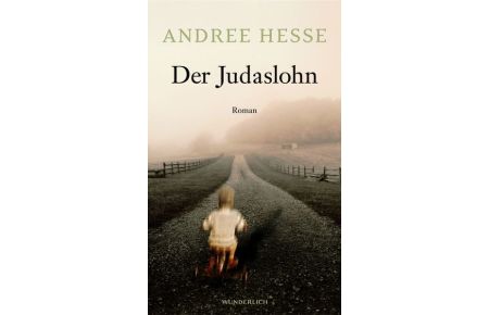 Der Judaslohn : Roman.   - Andree Hesse
