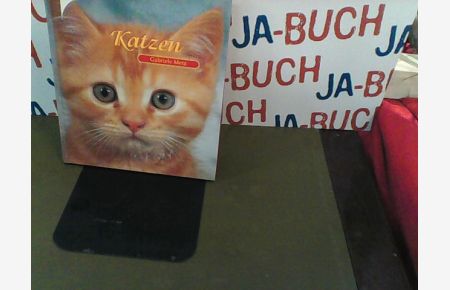 Katzen, m. CD-ROM