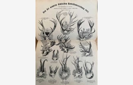St. Hubertus. (Wochenschrift für Jagd, Fischerei & Naturkunde). 21. Jahrgang 1903. Mit zahlreichen Abbildungen im Text und auf Tafeln.