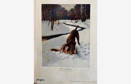 Wild und Hund. 13. Jahrgang 1907. Mit 786 Textabbildungen und 25 Kunstbeilagen.