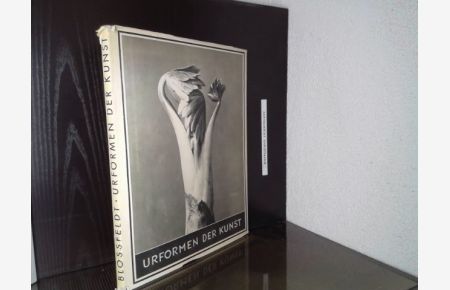 Urformen der Kunst : Photogr. Pflanzenbilder.   - Karl Blossfeldt. Hrsg. mit e. Einl. von Karl Nierendorf