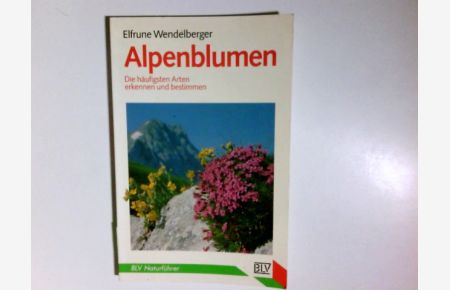 Alpenblumen : die häufigsten Arten erkennen und bestimmen.   - Elfrune Wendelberger / BLV-Naturführer ; 815