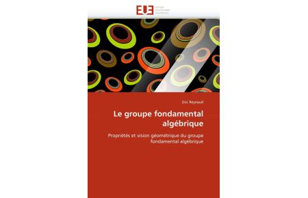 Le groupe fondamental algébrique - Propriétés et vision géométrique du groupe fondamental algébrique