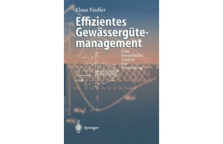 Effizientes Gewässergütemanagement - Eine Theoretische Analyse mit Praxisbezug