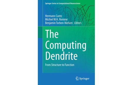 The Computing Dendrite  - From Structure to Function