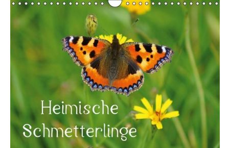 Heimische Schmetterlinge / Geburtstagskalender (Wandkalender immerwährend DIN A4 quer)  - Kunterbunte Tagfalter in der Natur (Monatskalender, 14 Seiten)
