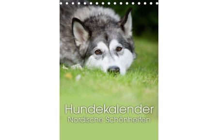 Hundekalender - Nordische Schönheiten (Tischkalender immerwährend DIN A5 hoch)  - Nordische Hunde für das ganze Jahr (Tischkalender, 14 Seiten)