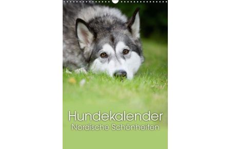 Hundekalender - Nordische Schönheiten (Wandkalender immerwährend DIN A3 hoch)  - Nordische Hunde für das ganze Jahr (Monatskalender, 14 Seiten)