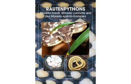 Rautenpythons  - Moralia bredli, Moralia cardinata und moralia spilota-Komplex