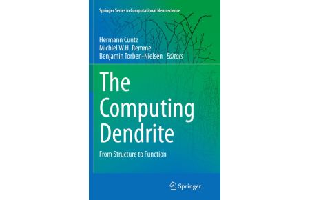 The Computing Dendrite  - From Structure to Function