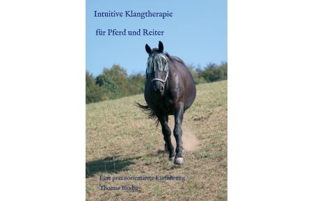Intuitive Klangtherapie für Pferd und Reiter  - Eine praxisorientierte Einführung