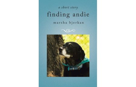 finding andie