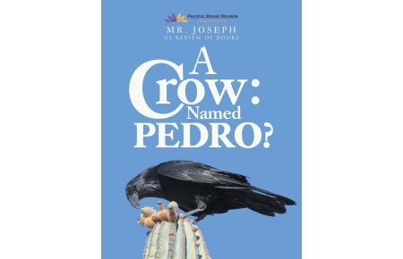 A Crow Named Pedro