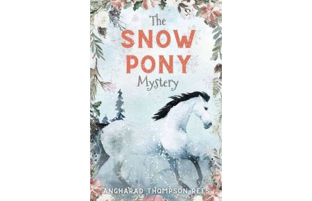The Snow Pony Mystery