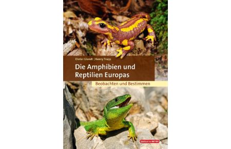 Die Amphibien und Reptilien Europas  - Beobachten und Bestimmen