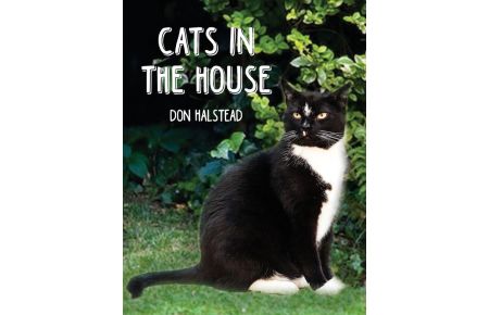 Cats in the House
