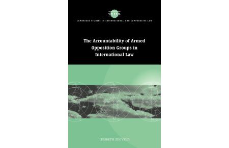 Accountability of Armed Opposition Groups in International Law