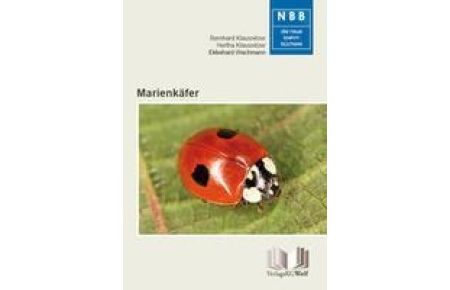 Marienkäfer  - Coccinellidae