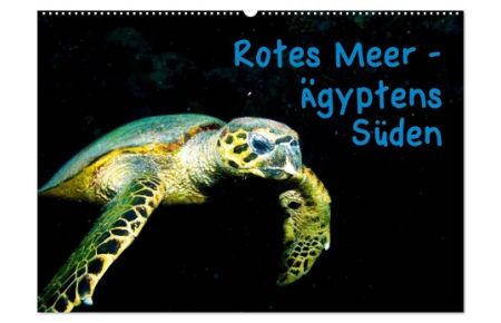 Rotes Meer - Ägyptens Süden (Wandkalender 2024 DIN A2 quer), CALVENDO Monatskalender  - Unterwasseraufnahmen während einer Tauchsafari zu den St. John's-Inseln