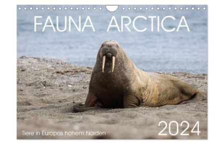 Fauna arctica (Wandkalender 2024 DIN A4 quer), CALVENDO Monatskalender  - Tiere in Europas hohem Norden