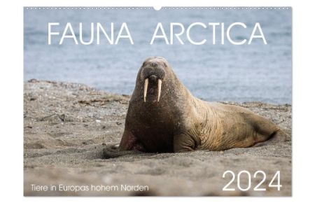 Fauna arctica (Wandkalender 2024 DIN A2 quer), CALVENDO Monatskalender  - Tiere in Europas hohem Norden