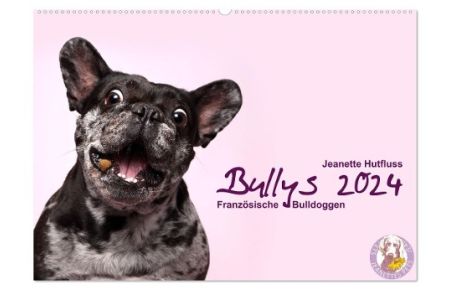 Bullys - Französische Bulldoggen 2024 (Wandkalender 2024 DIN A2 quer), CALVENDO Monatskalender  - Kleine Hunde mit großem Herz