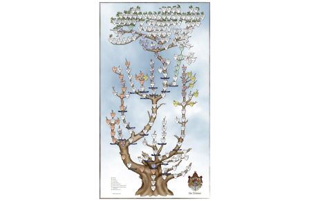 Stammbaum der Wittelsbacher