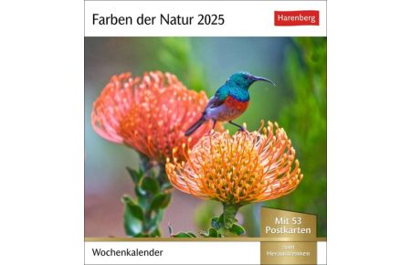 Farben der Natur Postkartenkalender 2025 - Wochenkalender mit 53 Postkarten  - Farbenprächtige Naturaufnahmen in einem Fotokalender im Postkartenformat. Tischkalender zum Aufstellen mit 53 Postkarten