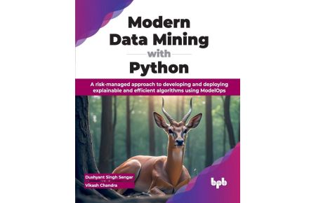 Modern Data Mining with Python - A risk-managed approach to developing and deploying explainable and efficient algorithms using ModelOps (English Edition)