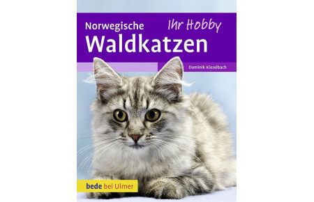 Norwegische Waldkatzen